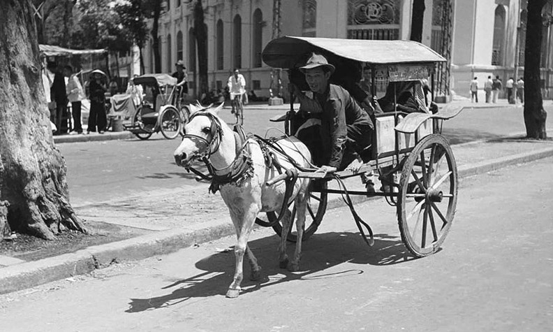 Đi xe ngựa (Bài đọc hiểu tiếng Việt lớp 4 - đề số 22)